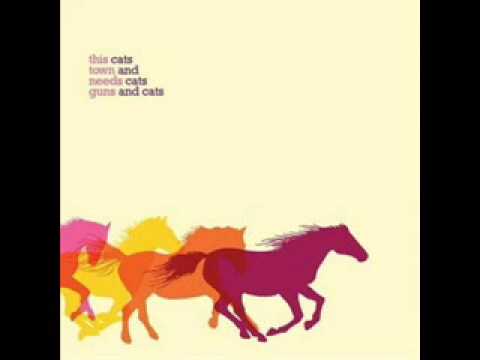 Sweet Drunk Everyone - Cats and Cats and Cats
