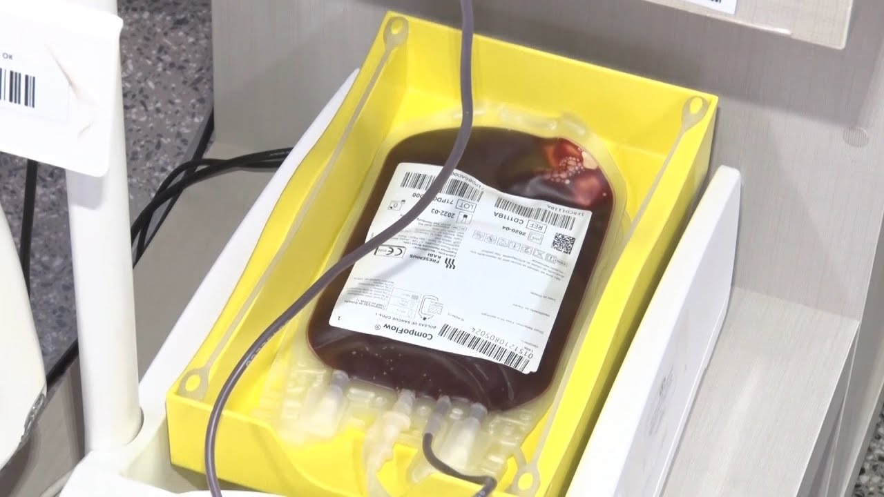 Lei garante atendimento prioritário para doadores de sangue fenotipados e de sangue raro