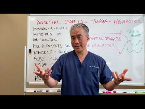 Understanding Thyroid Dysfunction Hashimoto s Part 1 Signs and Symptoms