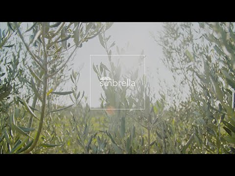 Lagoon 55 x Sunbrella - “under the shade of the olive groves”