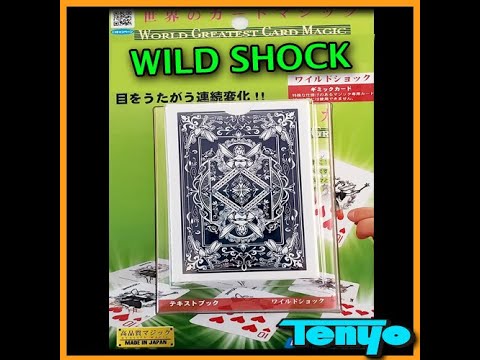 Voir la vidéo Wild Shock 2022 - Tenyo