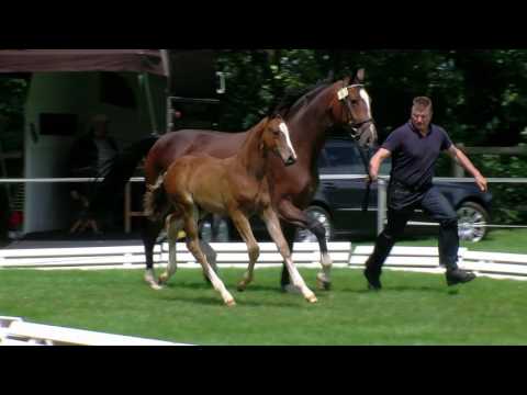 Gerdes, Bretton Woods-San Amour Rubinstein