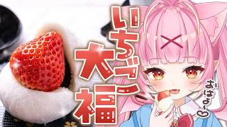 【朝活/実写料理】初見/ロム歓迎♡おはよ～♡『苺大福』作りに初チャレンジなのだっ！！！🍓✨ #雑談【百々牙こよい/新人VTuber】