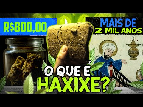 WHAT IS HASHISH? | #14