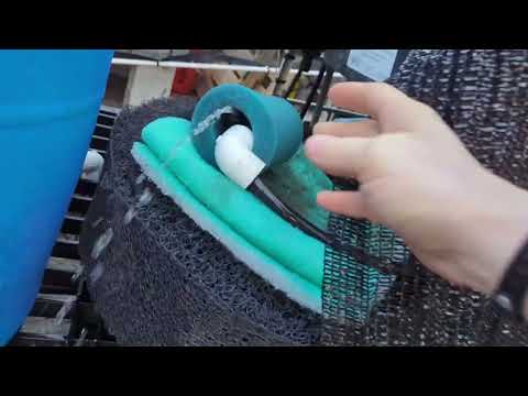 may 3rd, more sandponics iavs.