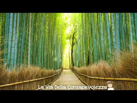 Giardino di Pace   Meditazione Guidata Italiano