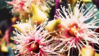 Download lagu A Quai - Yann Tiersen mp3 Download lagu A Quai - Yann Tiersen mp3