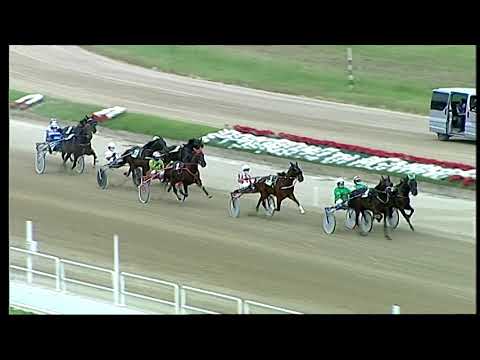 Napoli Trotto 23/05/2021 - 1ª corsa