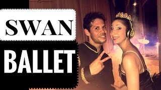 Swan lake ballet/suite/dance/love duet /youtube.