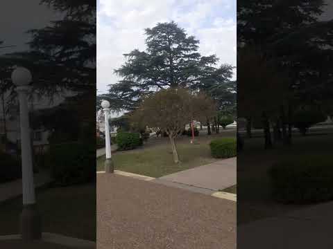PLAZA MARCELO T. DE ALVEAR!!! BERNARDO LARROUDE - LA PAMPA!!! #cicloviajeros #pedaleandocontralaela
