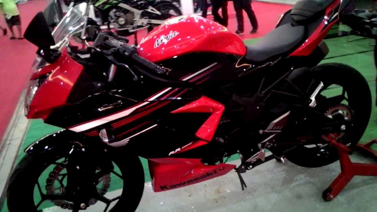 Kawasaki ninja RR mono 250