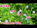 Kitna Pagal Dil Hai Andaaz Song Romantic Song Status Romantic Andaaz Akshaykumar 4kstatus Viral
