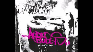 We Don&#39;t Care (Mutiny Vocal Scrub) - Audio Bullys