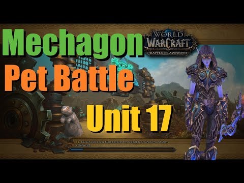 Unit 17 Mechagon Pet Battle Guide - World of Warcraft