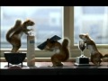 Country Life Animal Cleaning Advert