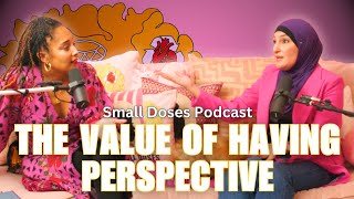 The Value of Perspective ▫️ Small Doses Podcast