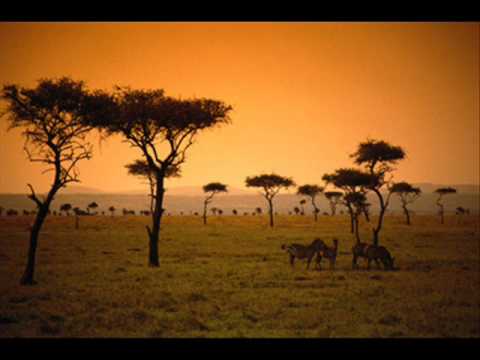 download lagu mp3 mp4 Queen Ifrica Sinsemilla Lyrics, download lagu Queen Ifrica Sinsemilla Lyrics gratis, unduh video klip Download Queen Ifrica Sinsemilla Lyrics Mp3 dan Mp4 Unlimited Gratis