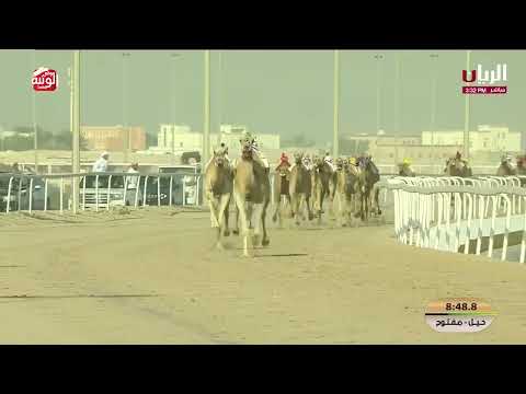  ش 6 شلفة حول مفتوح (نثريه) ناصر عبدالله أحمد المسند 11:54:03 , مهرجان الأمير الوالد 2026/02/12 الشح