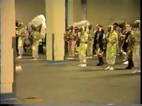 1989 Show of Shows Pit Hegeman String Band Gypsy in My Soul