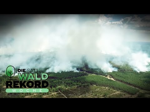 Waldbrände in Deutschland: unterschätzte Gefahr durch Weltkriegsmunition? | SAT.1 Operation Wald