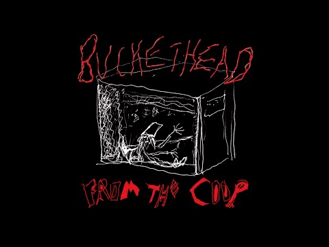 Buckethead - From The Coop