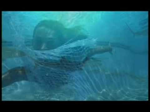 WPPK - music video by Aqualise & aquamotion