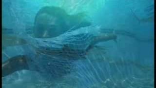 WPPK - music video by Aqualise & aquamotion