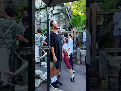 A vidámpark kizáróok #rollercoaster