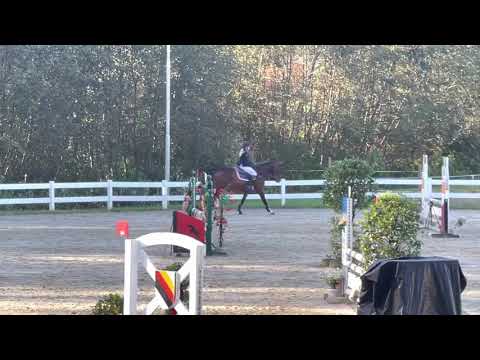 DIMANCHE (4yo Dominator Z) 1.10.21 Isny - SPF A**