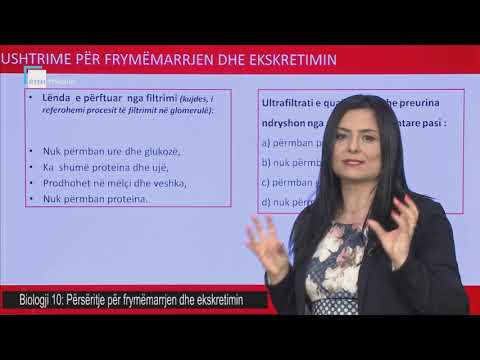 Biologji 10 - Përsëritje për frymëmarrjen dhe ekskretimin