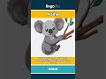 koala - a small, gray animal from A... video thumbnail