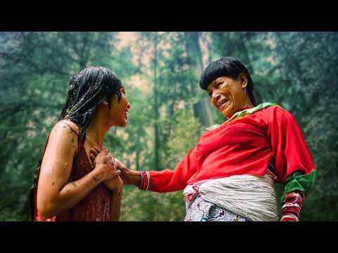 The Life-Changing Experience of Ayahuasca With Shipibo Shaman