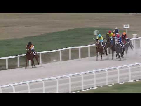 2023.03.26. 03. futam - NYERETLENEK VERSENYE (V.kat.)(szintetikus pálya)