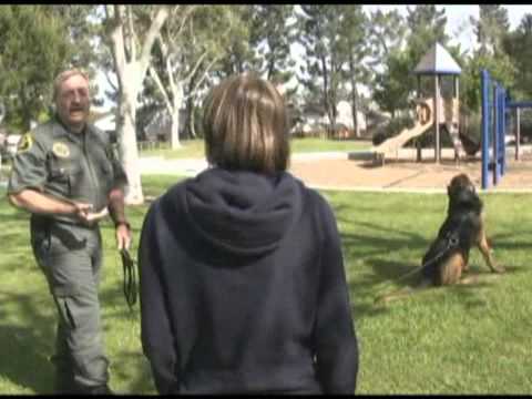 Spending time with a bloodhound Priceless - 2009-03-30