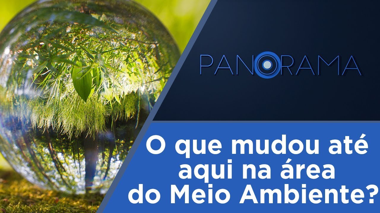 Panorama | 100 dias do governo Bolsonaro - Meio Ambiente | 11/04/2019