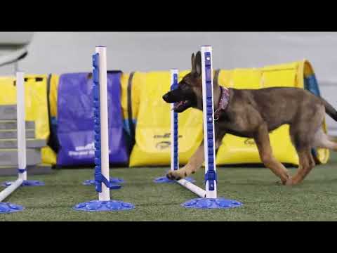 Demo