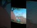 Opening To Robin Hood 1991 VHS