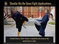 Shaolin Wu Bu Quan (少林五步拳) - Five Stances Fist - Fight Applications