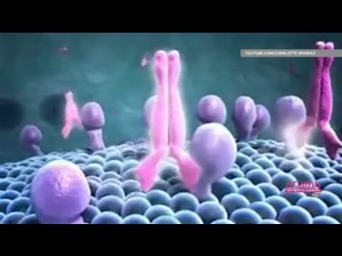 download lagu mp3 mp4 химиотерапия, download lagu химиотерапия gratis, unduh video klip химиотерапия