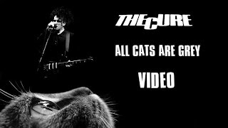 The Cure - All cats are grey