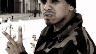 Immortal Technique- Harlem Renaissance