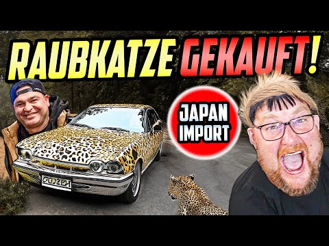 Unser ERSTER Japanimport! - Jaguar XJ8 - Von Heilbronn nach Dortmund: NADINE TESTET!