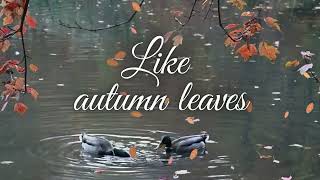 Ed Sheeran   Autumn Leaves
