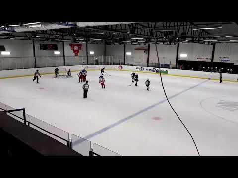 GIC 4.1.2020 Hammarö HC  - TPS White