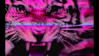 SIIINES - Sex on the Dance Floor -  (Windows 95 Edit)