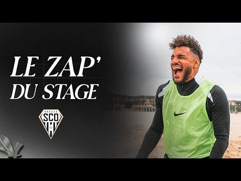 LE ZAP' DU STAGE