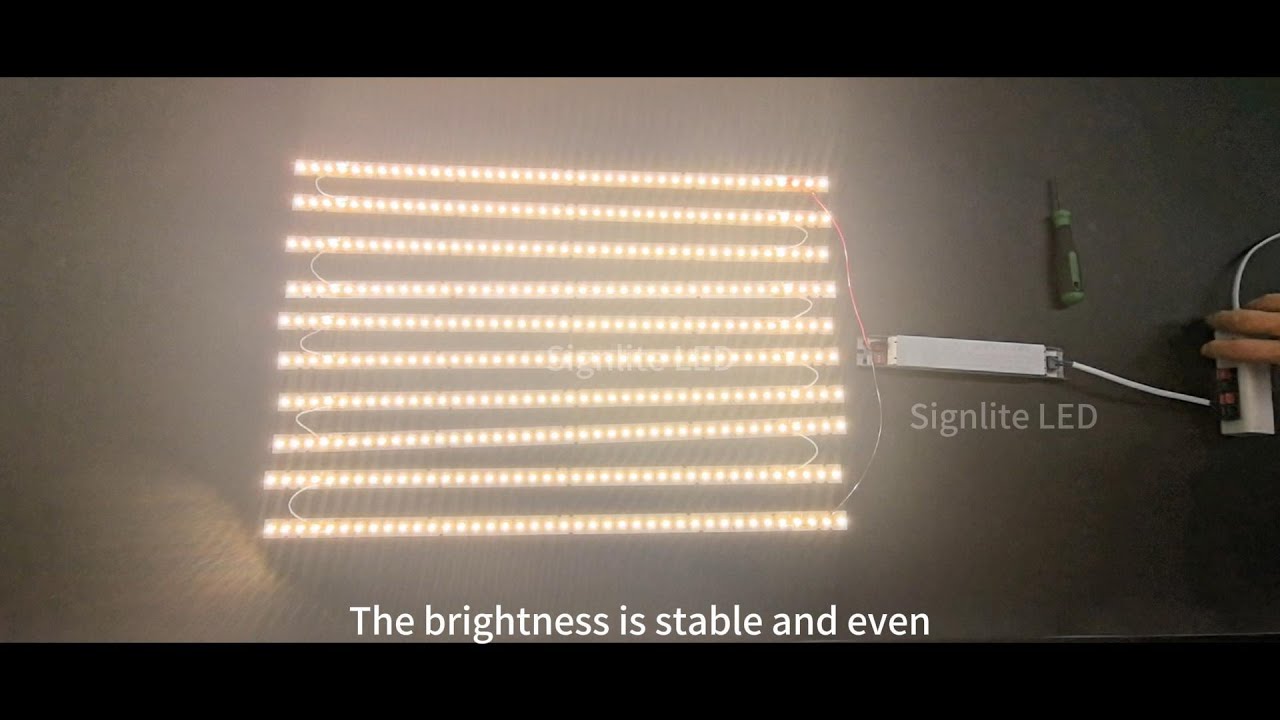 High-Efficiency Constant-Current Design LED Linear Module | SignLiteLED