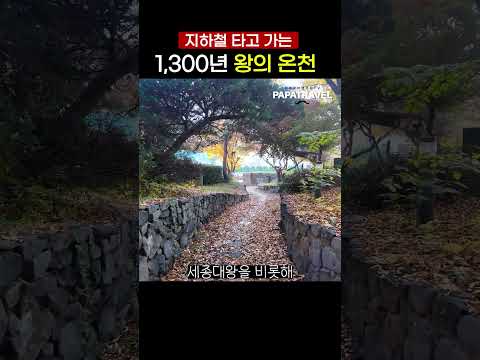 온양온천의 역사와 매력적인 체험