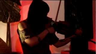 Emily Wells - Passenger (Geneva, 31/01/2013)