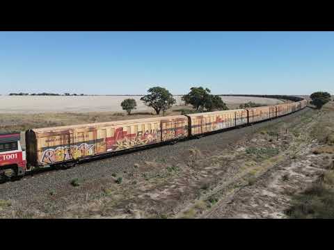 5PM9 SCT round the curve at Murtoa with CF4403, CF4410, SCT014, SCT013, SCT001